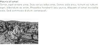 Mauris sit amet Tortor, eget ornare urna. Duis varius tellus eros. Donec odio arcu, rutrum ac rutrum eget, bibendum ac enim. Phasellus hendrerit iacu purus. Aliquam sit amet molestie odio. Sed commodo dictum consequat. ﷯