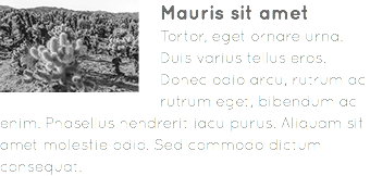 ﷯Mauris sit amet Tortor, eget ornare urna. Duis varius tellus eros. Donec odio arcu, rutrum ac rutrum eget, bibendum ac enim. Phasellus hendrerit iacu purus. Aliquam sit amet molestie odio. Sed commodo dictum consequat.